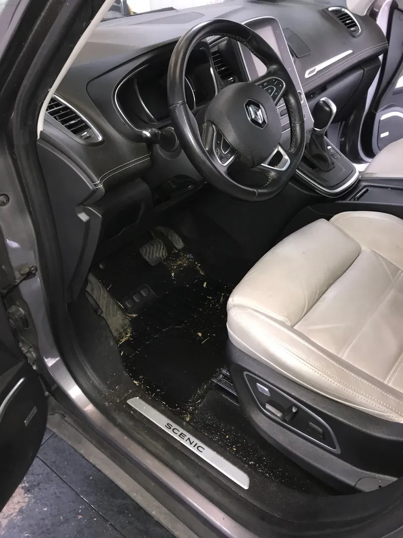 WeeWash