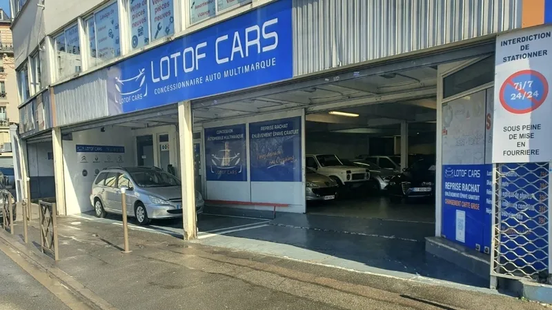 Lotof Cars