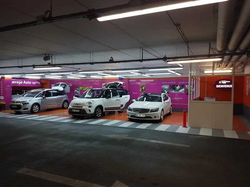 Auto clean Orly