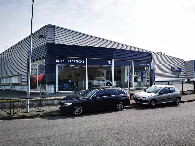 Peugeot Medicis Fresnes