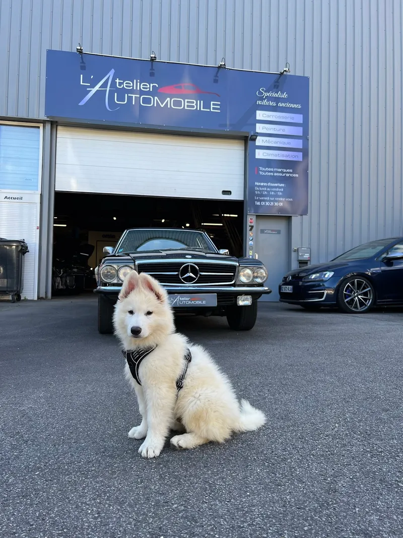 L'ATELIER AUTOMOBILE DE VIROFLAY