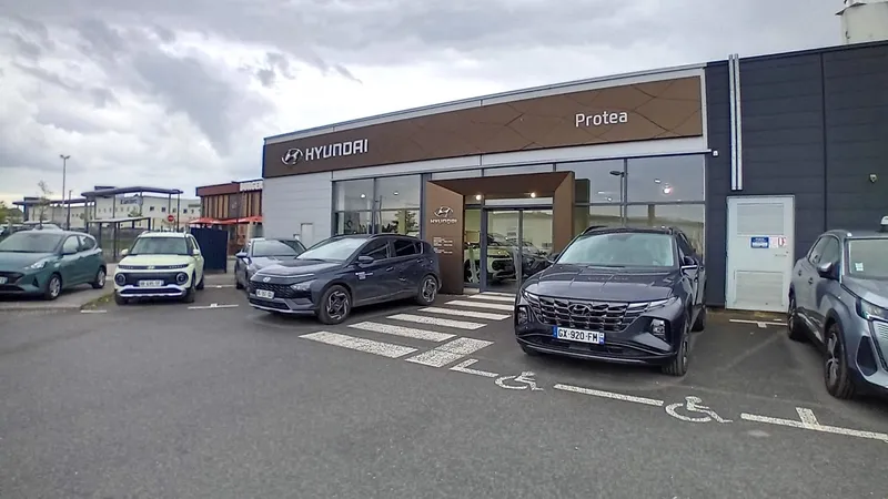 Hyundai Coulommiers - Protea by Riester