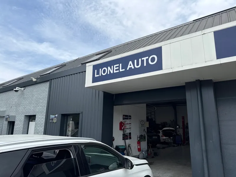 Lionel auto /nettoyage filtre à particules fap et decalaminage moteur à hydrogène