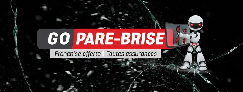 Go Pare Brise