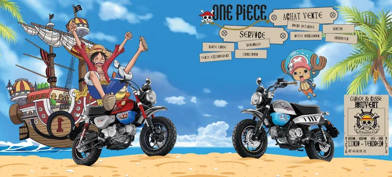Bike Occaz